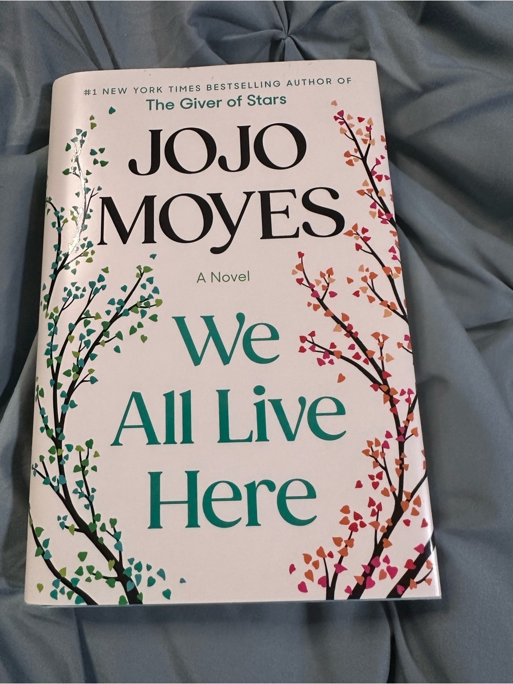 📚4 for $25 BOOK SALE - We All Live Here by Jojo Moyes